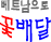 º£Æ®³² ²É¹è´Þ